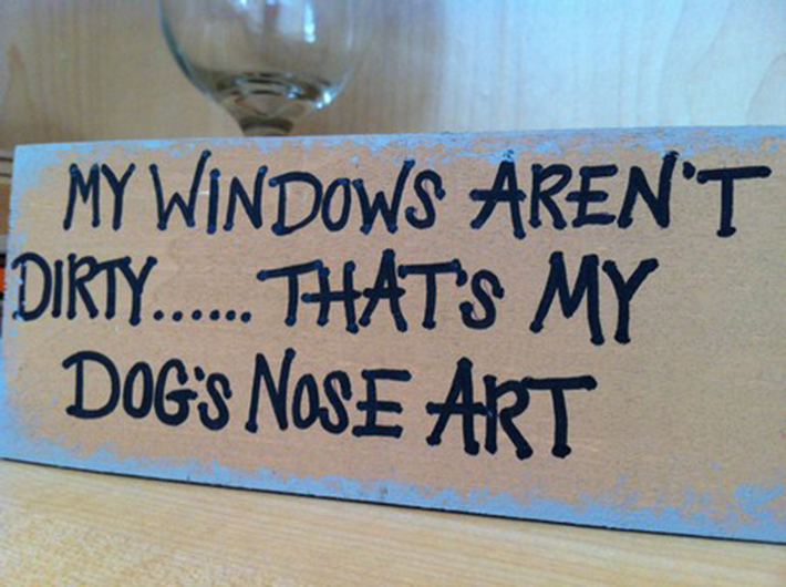 funny dog signs 21