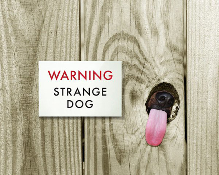 funny dog signs 9