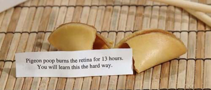 hilarious fortune cookies 20