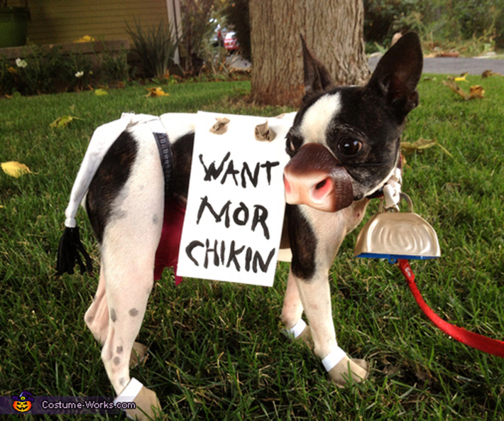 special menu items for dogs - chick-fil-a