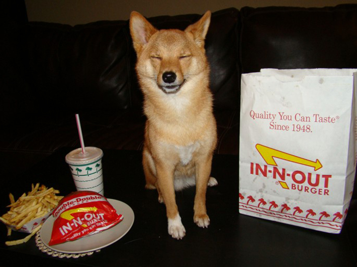 special menu items for dogs - in n out