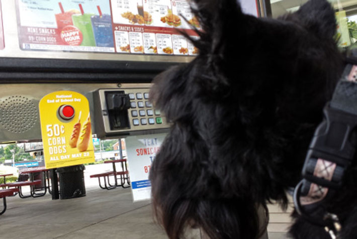 special menu items for dogs - sonic