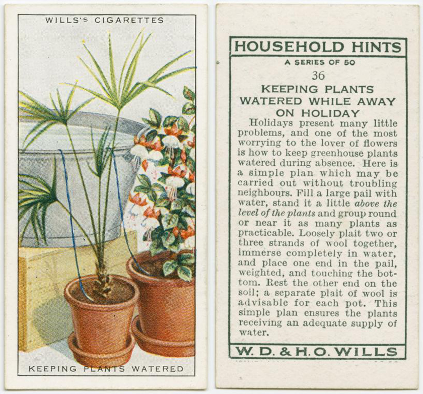 100 yr old lifehacks - plants