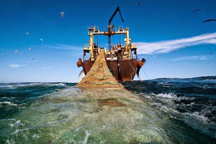 Johanna Maria Trawler in West Africa