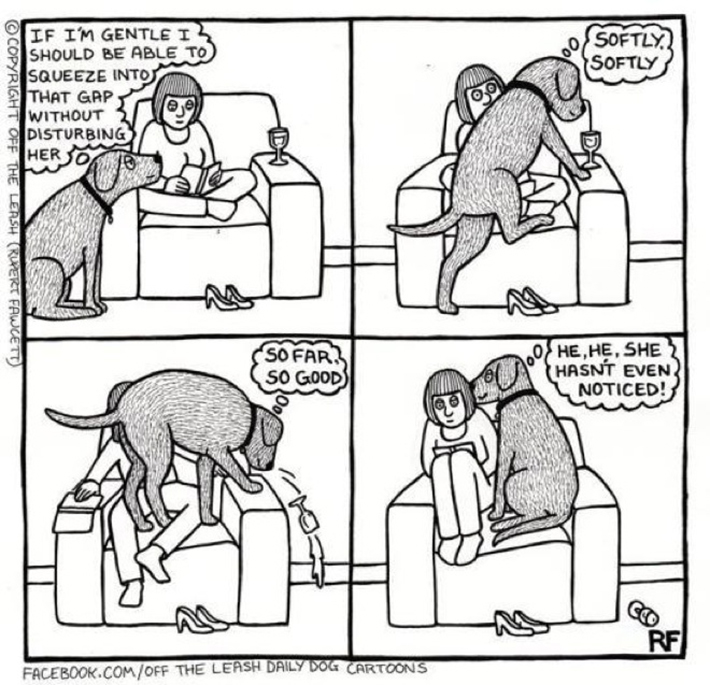 funny dog owner situations 16