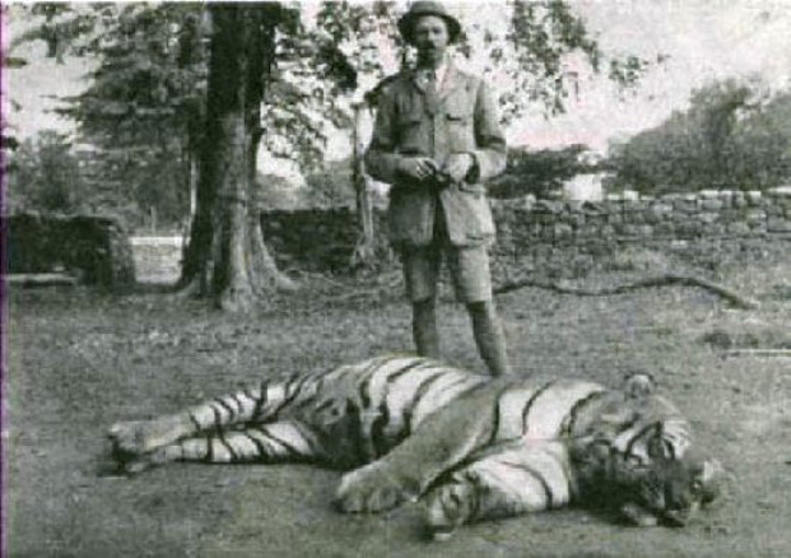 Champawat Tiger