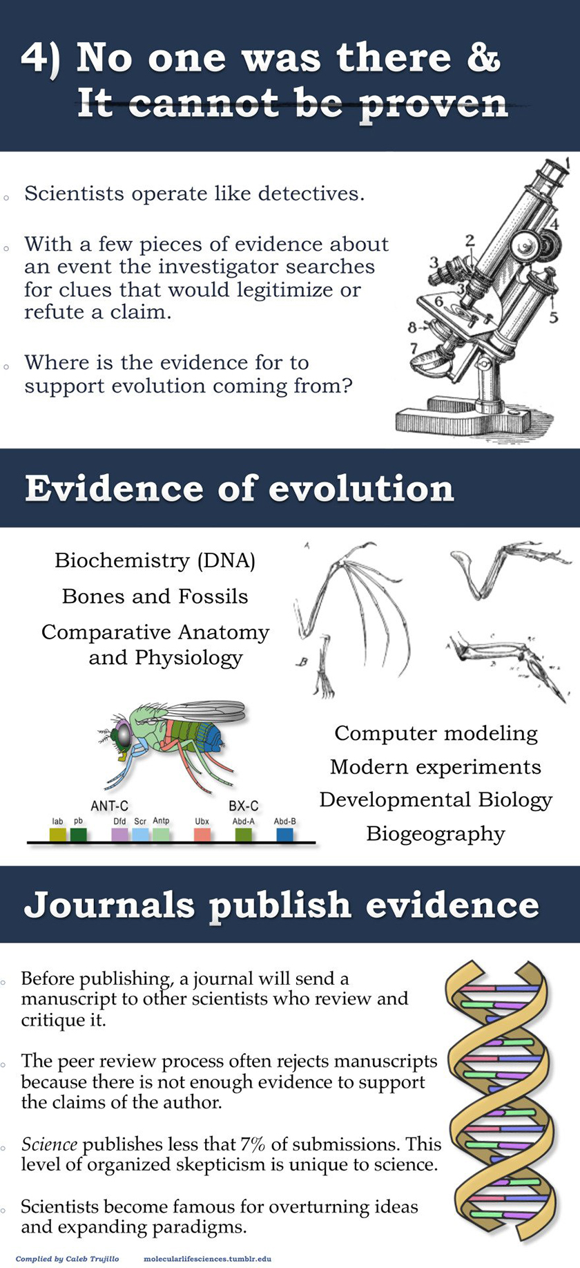 evolution infographic 4