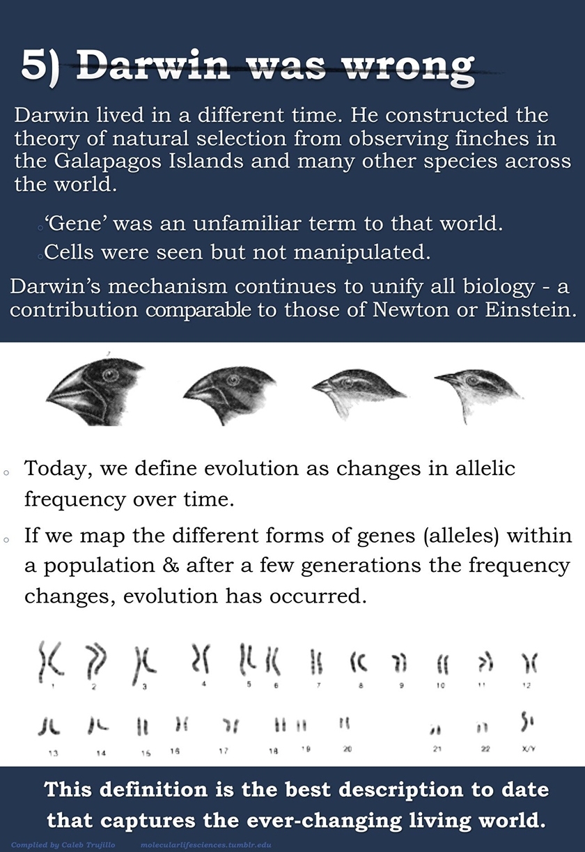 evolution infographic 5