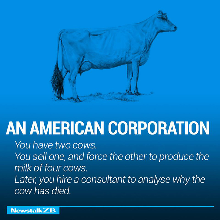 cow economics 13