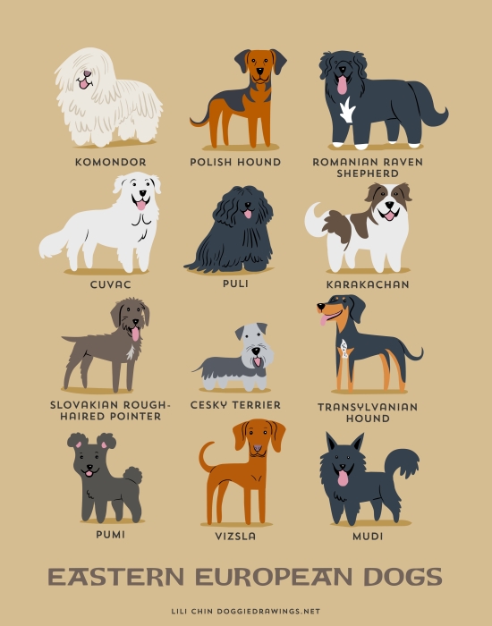 dogs of the world (14)