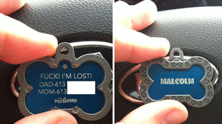 hilarious pet collar tags 7