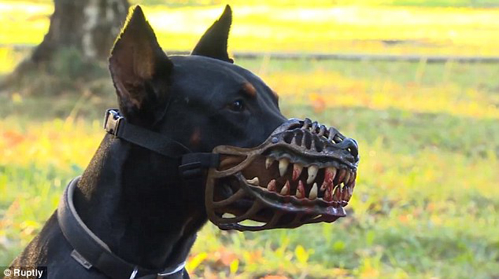 Werewolf Dog Muzzle 