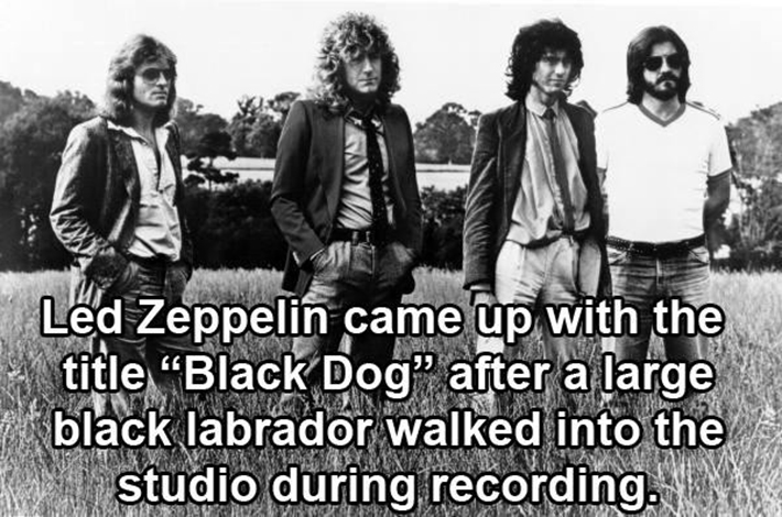rock and roll facts 6