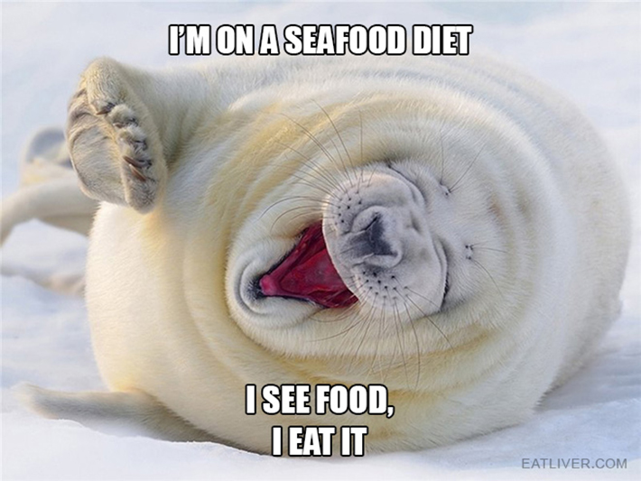 funny seal 5