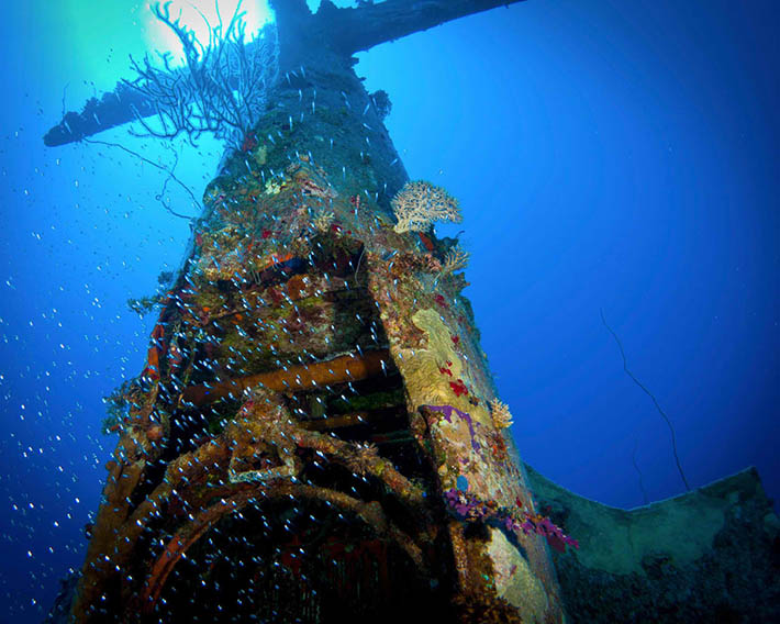 wwII planes underwater graveyard 12