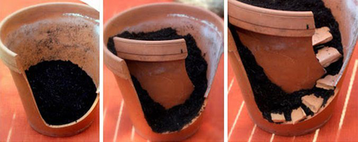 broken pot mini garden 1