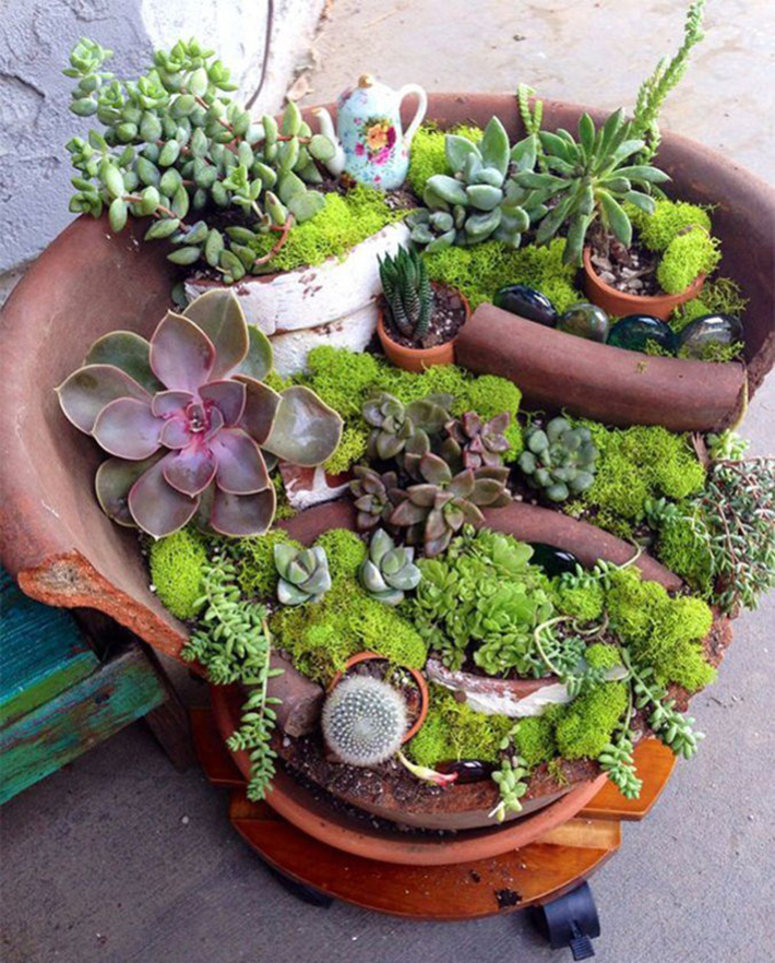 broken pot mini garden 15