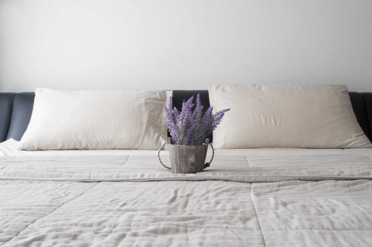 lavender pillow