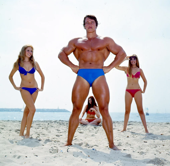 Arnold Schwarzenegger