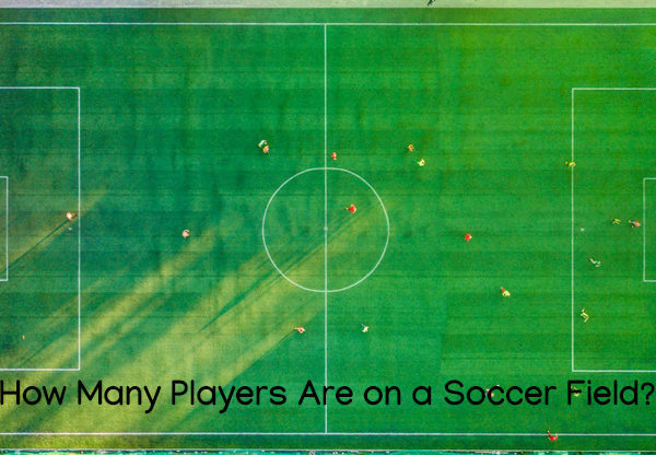 players on soccer field