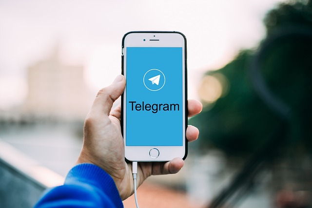 How To Look Up Movies on Telegram