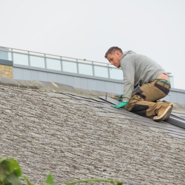 Roof Maintenance Tips