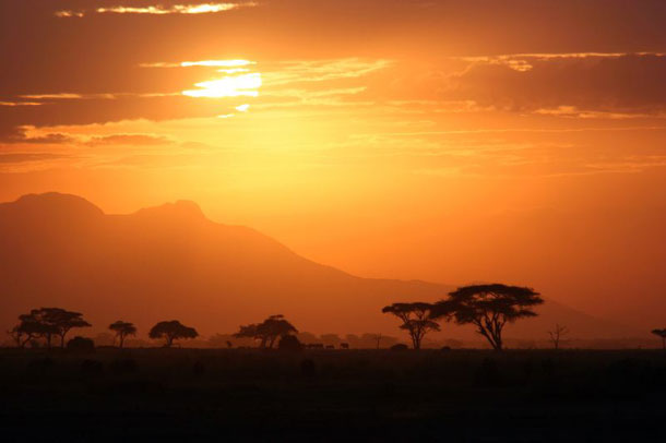 8-Serengeti-Tanzania